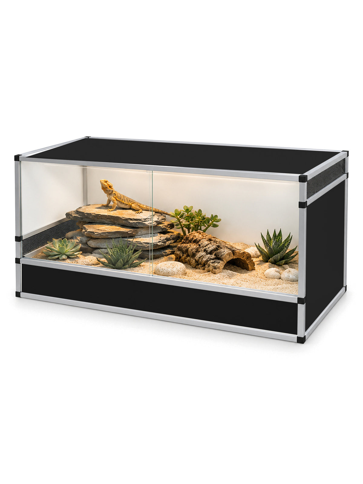 Terrariums terrestres