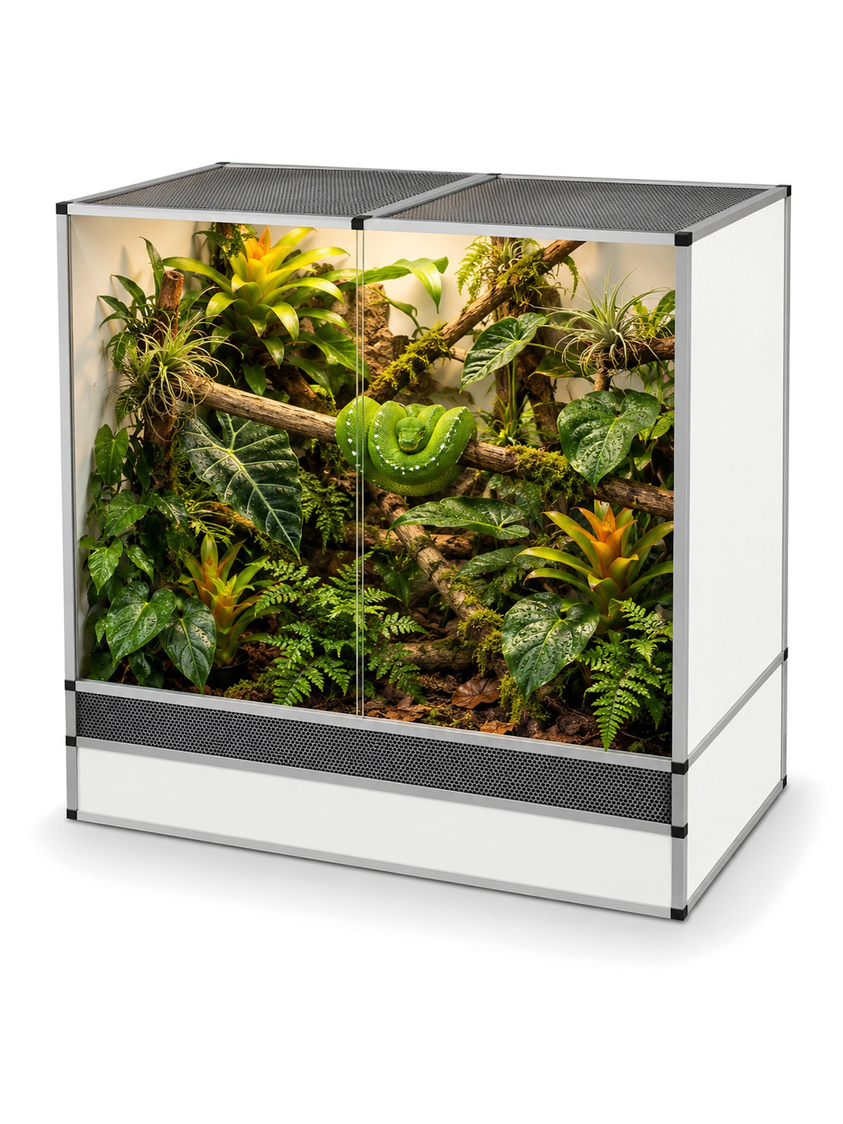 Terrarium arboricole en aluminium 120 x 60 x 120 cm, finition blanche, aménagé en forêt tropicale avec un python vert arboricole