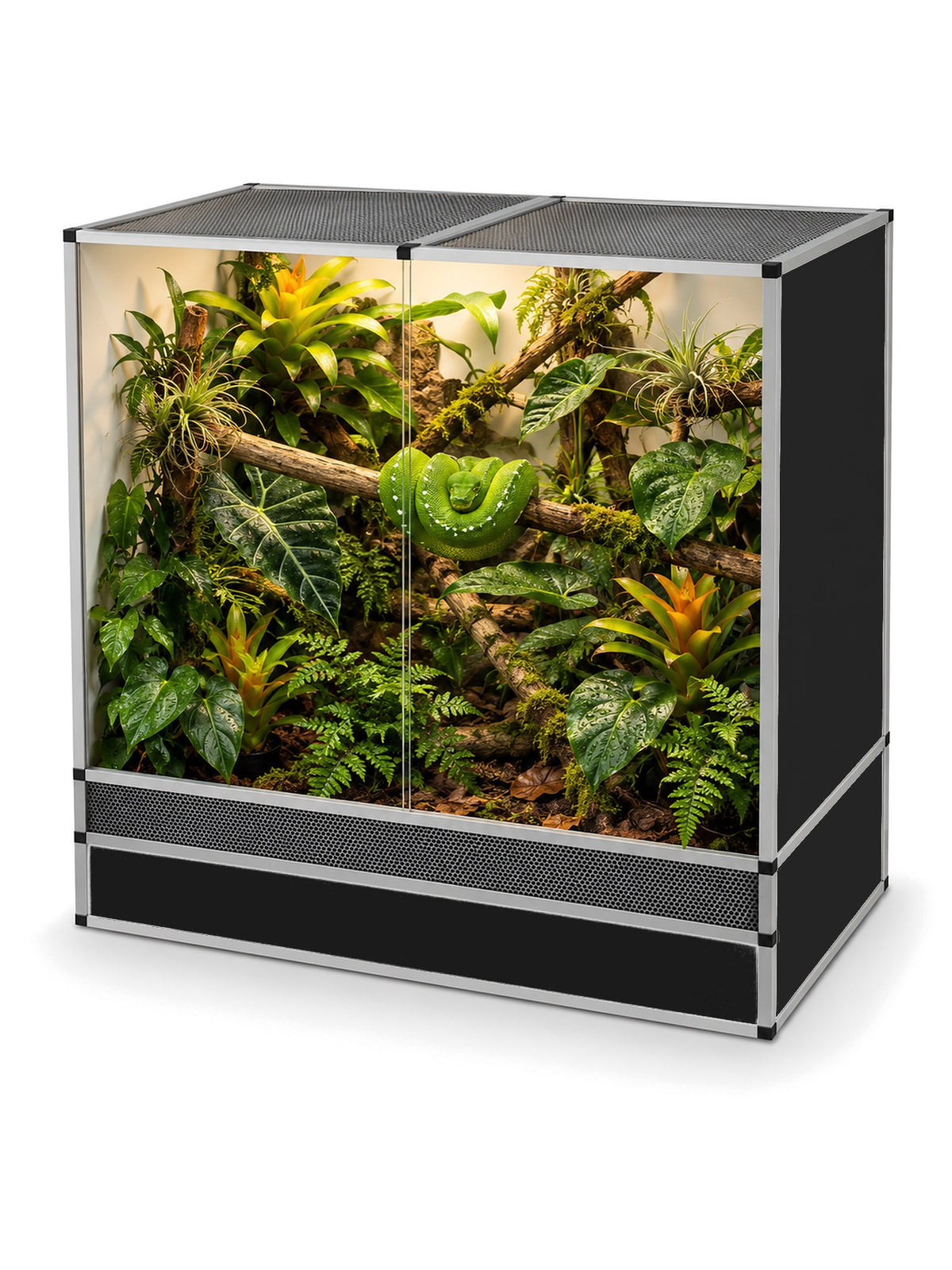 Terrarium arboricole en aluminium 120 x 60 x 120 cm, finition noire, aménagé en forêt tropicale avec un python vert arboricole