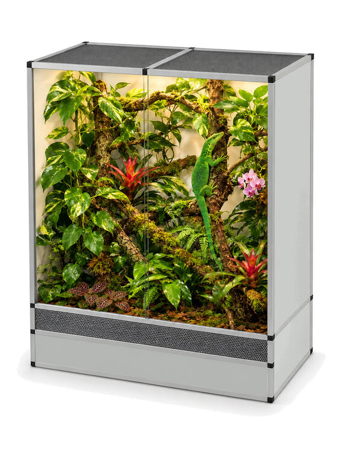 Terrarium arboricole en aluminium 120 x 60 x 150 cm, finition grise, aménagé en forêt tropicale avec un varan émeraude