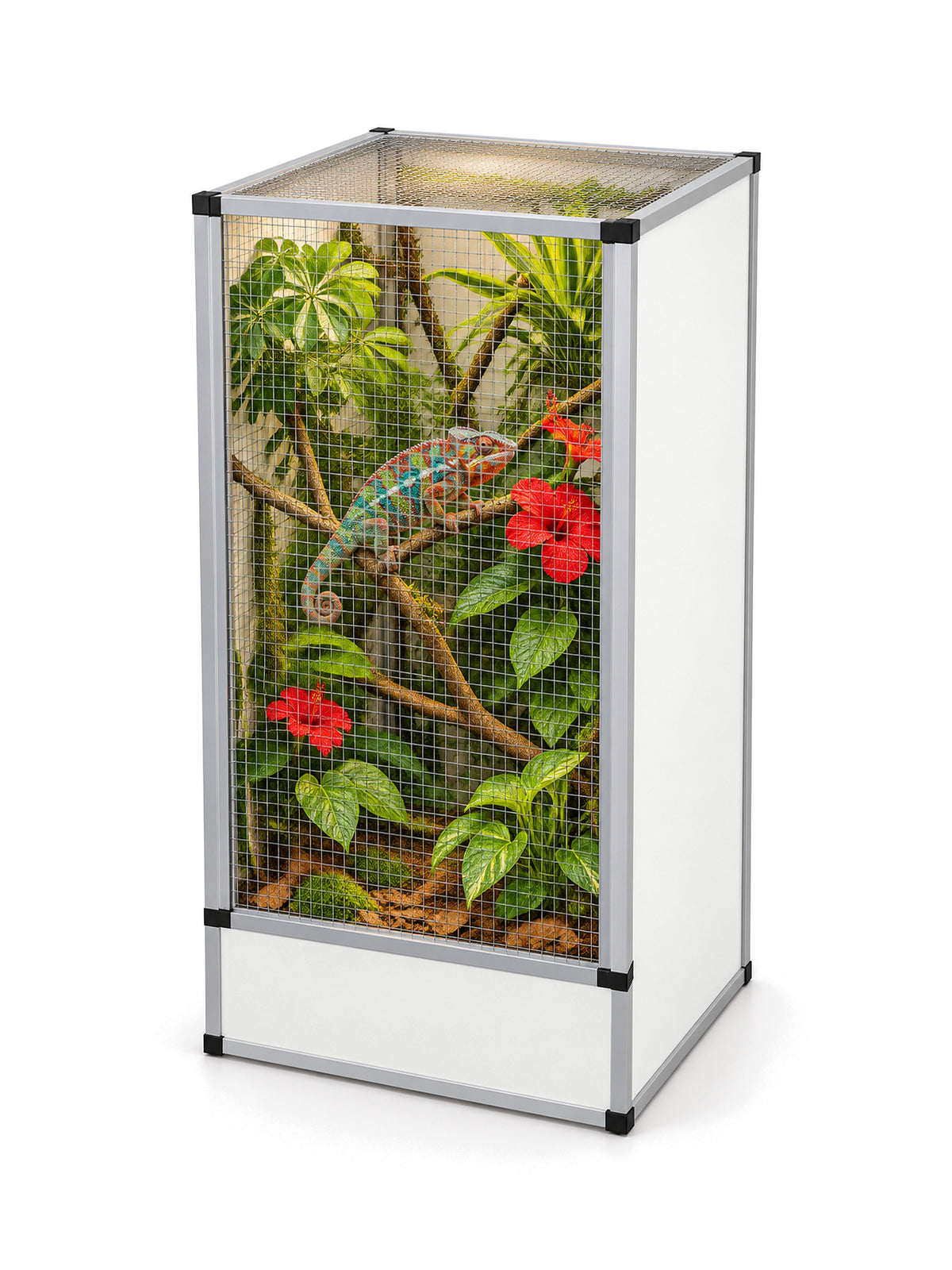 Flexarium en aluminium 60 x 60 x 120 cm, finition blanche, aménagé en jungle verticale avec un caméléon panthère