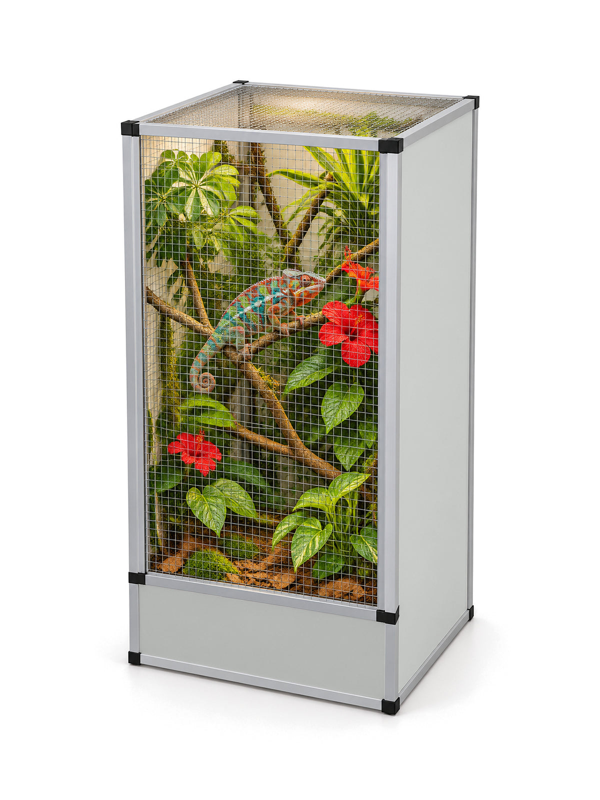 Flexarium en aluminium 60 x 60 x 120 cm, finition grise, aménagé en jungle verticale avec un caméléon panthère