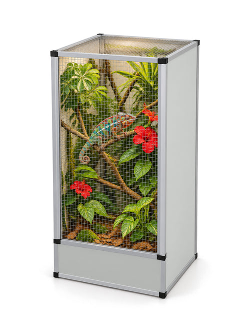 Flexarium en aluminium 60 x 60 x 120 cm, finition grise, aménagé en jungle verticale avec un caméléon panthère
