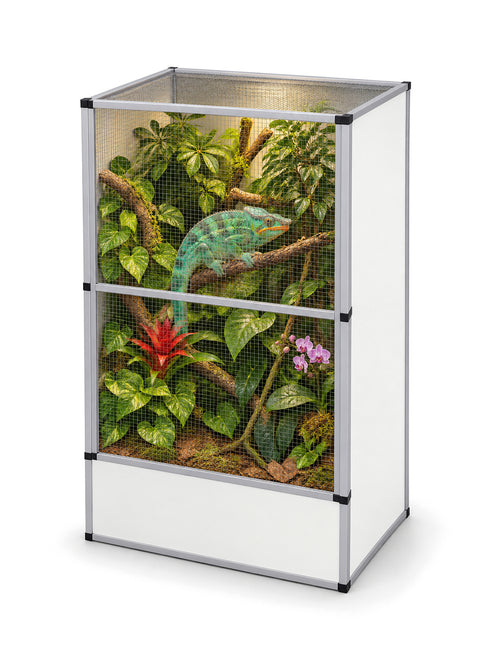Flexarium en aluminium 90 x 60 x 150 cm, finition blanche, aménagé en jungle verticale avec un caméléon de Parson