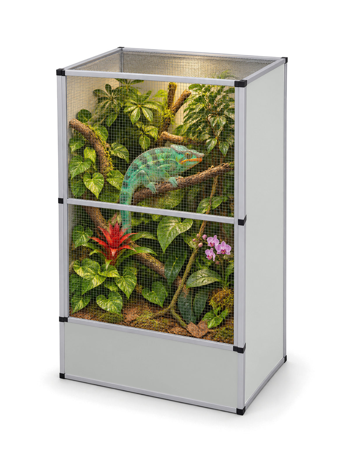 Flexarium en aluminium 90 x 60 x 150 cm, finition grise, aménagé en jungle verticale avec un caméléon de Parson