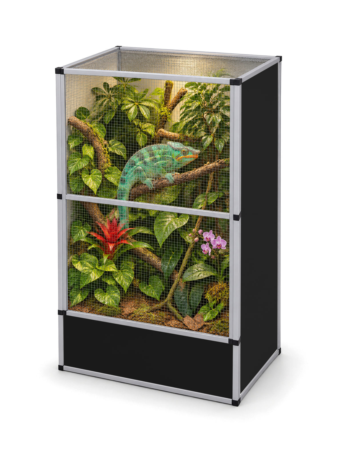 Flexarium en aluminium 90 x 60 x 150 cm, finition noire, aménagé en jungle verticale avec un caméléon de Parson