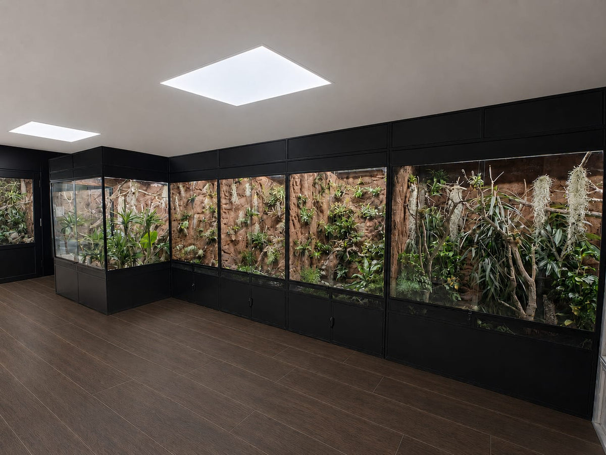 Vivarium du zoo de Ljubljana rénové par Bo Reptiles